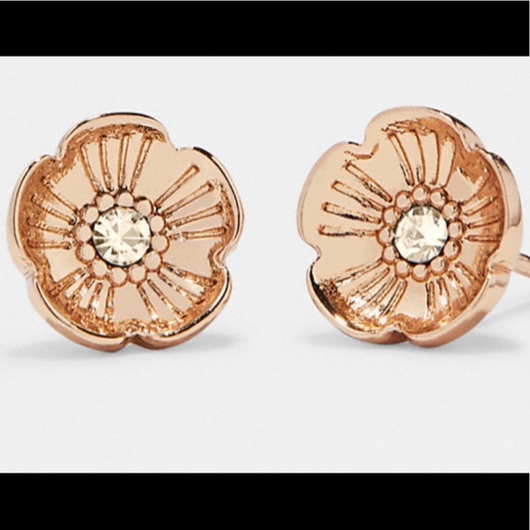 Coach Necklace and Earrings Set - Picture 4 of 11